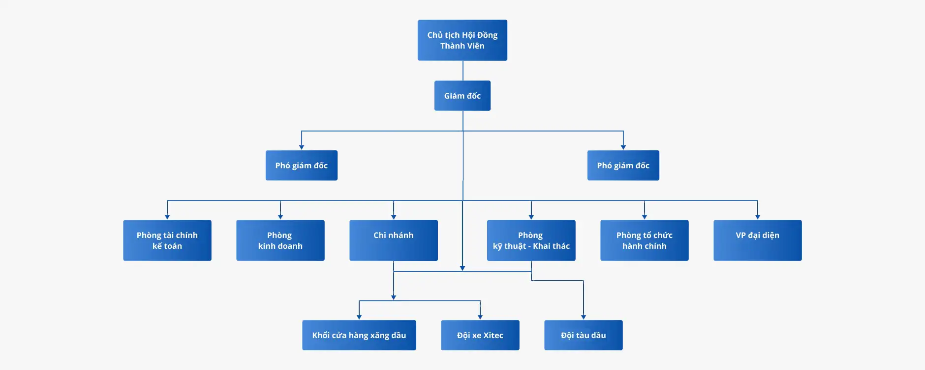 Cơ cấu tổ chức Hongminhpetro